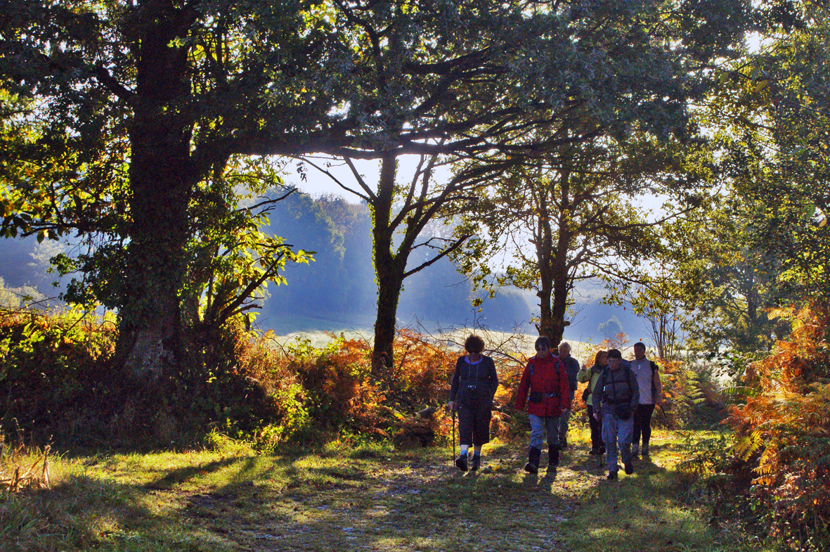 Promenade en Haute Vienne à Châteauneuf La Forêt